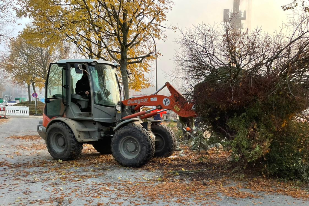 Gefällter Baum wird abtransportiert